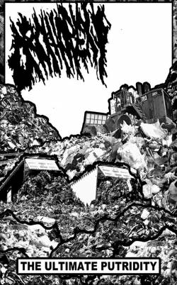 Orchiopexy : The Ultimate Putridity